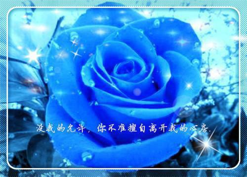 重生2002：青梅十八岁名字（苏星瑶）全文免费_（苏星瑶）重生2002：青梅十八岁名字后续阅读（苏星瑶）