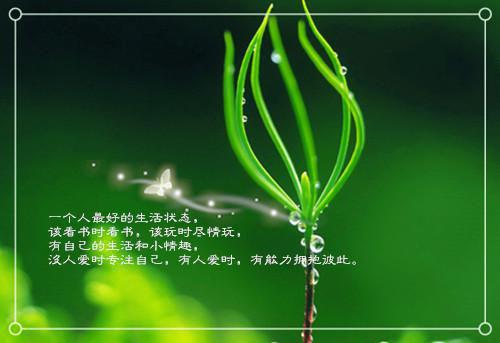 幽思燃烬忘川路：+后续+番外（叶墨谨幽璃迟少瑜）最新推荐_最新推荐幽思燃烬忘川路：+后续+番外（叶墨谨幽璃迟少瑜）