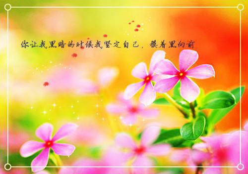 (番外)+(全文)报考蓝翔后，闺蜜急哭了下载阅读_(姜楠刘梁鸣)报考蓝翔后，闺蜜急哭了免费阅读全文最新章节列表_笔趣阁（姜楠刘梁鸣）