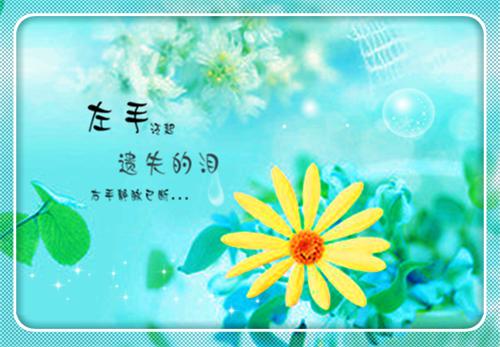 八零：踹掉厂长做首富：后续全文小说许琬凝顾政小说在线阅读