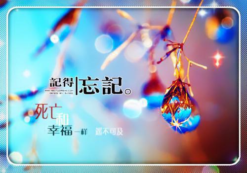 夫君提出要立表妹为后，我知道皇帝该换人了（楚言楚景沈溪）全文浏览_夫君提出要立表妹为后，我知道皇帝该换人了全文浏览