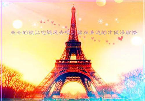 重生在高考前，我笑着送小青梅和小混混去庆祝成人礼：免费品鉴最新小说（沈晏安乔念）全文阅读