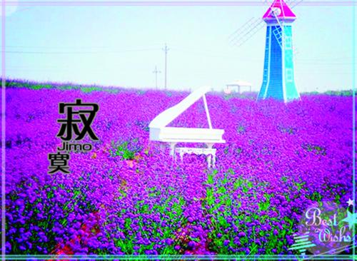 新婚夜，我怀了帝国总裁的两个崽（江怡墨沈谨尘）全文免费_（江怡墨沈谨尘）新婚夜，我怀了帝国总裁的两个崽后续阅读（江怡墨沈谨尘）