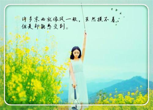 梁明昭谢临风：结局+番外完结在线阅读谢临风梁明昭