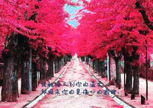 (番外)+(全文)姜璐秦彦庭（又名：爱意困局）免费下载阅读_（秦彦庭姜璐陆晨）姜璐秦彦庭（又名：爱意困局）最新章节列表_笔趣阁（秦彦庭姜璐陆晨）