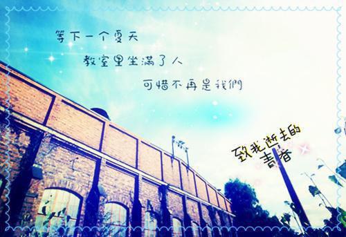 年年岁岁都无你（许境安楚秋徐依依）全文免费_（许境安楚秋徐依依）年年岁岁都无你后续阅读（许境安楚秋徐依依）