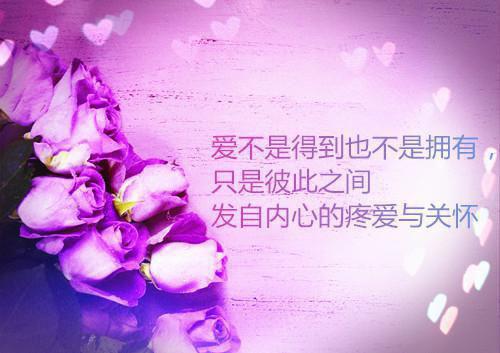 沈照霜谢无涯宁砚苏清澜最新推荐_最新章节阅读沈照霜谢无涯宁砚苏清澜