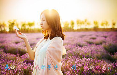途径一场风月：+番茄最新章节列表_途径一场风月：+番茄全文免费阅读(商予淮宋泠音)