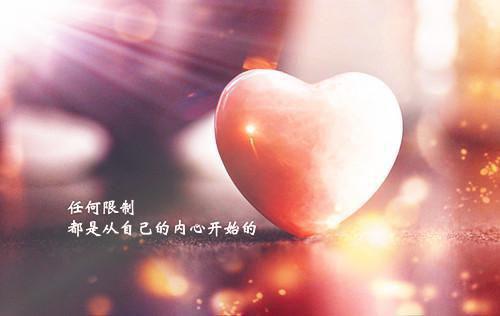 潮起时问归期江以蓁秦司礼楚舟野最新小说（乔栀,陆临深,楚舟野,江以蓁）全文阅读