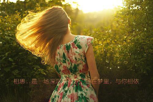 他在永夜长眠整本阅读（苏娆时砚清）