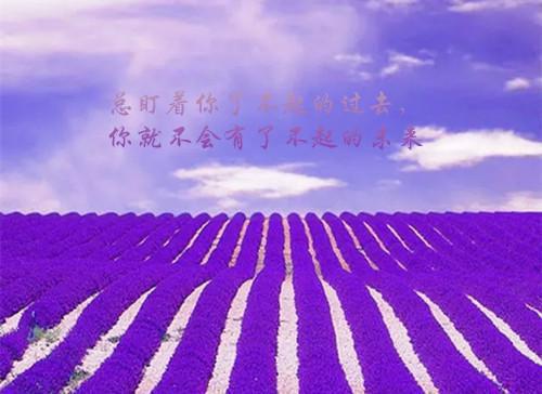 全文浏览月落覆山河：免费赏析（司蘅江揽月）_月落覆山河：免费赏析（司蘅江揽月）全文结局