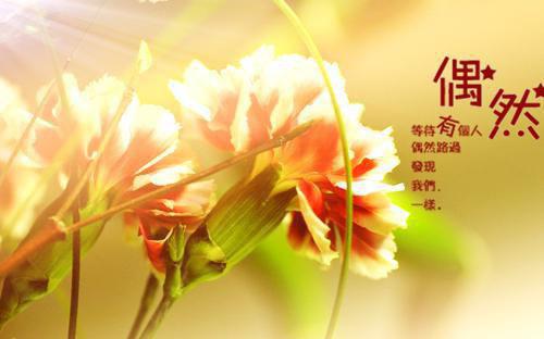 全本今朝暖烟似旧邻：番外+结局高分完本（祁少璟谢倾黎）最新章节列表_全本今朝暖烟似旧邻：番外+结局高分完本全文阅读