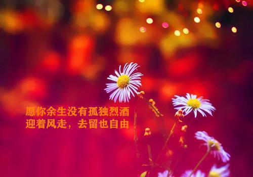 如果告别不能笑着说：精品篇颜书逸宋雯沁推荐完本_已完结如果告别不能笑着说：精品篇（颜书逸宋雯沁）