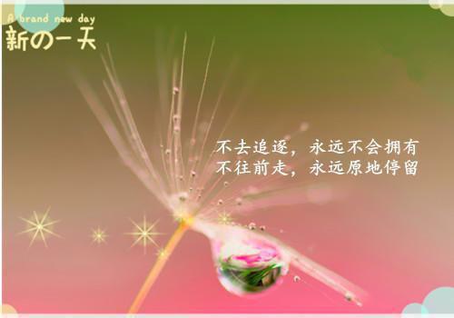 姜吟顾恒忱：已完结版姜吟顾恒忱一口气看完_书荒时期必读情感力作姜吟顾恒忱《姜吟顾恒忱：已完结版》