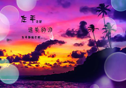 甩渣男，追大佬，我的人生我做主全文小说林晚星沈樾小说在线阅读