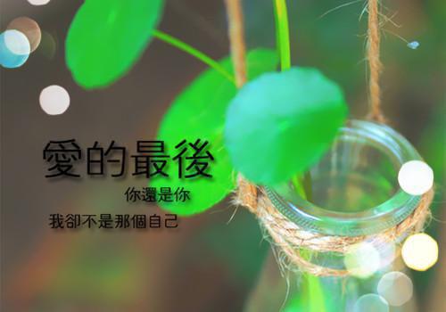 昔日情誓不归君：免费阅读无弹窗火爆新书余知鸢萧台烬