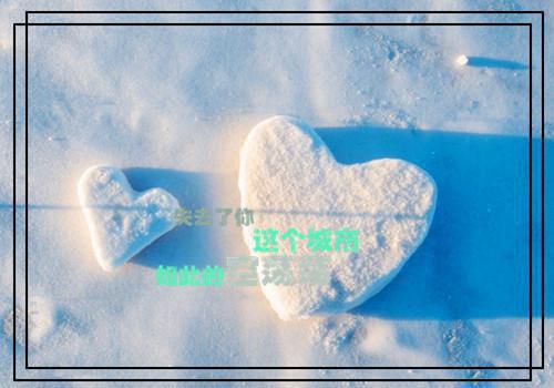 无广告TXT（时洛宁陆尧晏）听从网友意见后，我带球跑了全书无套路阅读