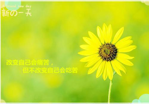 (番外)+(全文)重生后，手撕拔管儿子txt下载阅读_（宋明亮小慧）重生后，手撕拔管儿子最新章节列表_笔趣阁（宋明亮小慧）