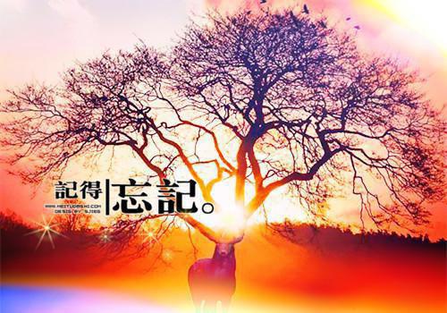 最新章节你曾是我的心之所向：在线（沈清梨谢景云）_你曾是我的心之所向：在线沈清梨谢景云最新章节