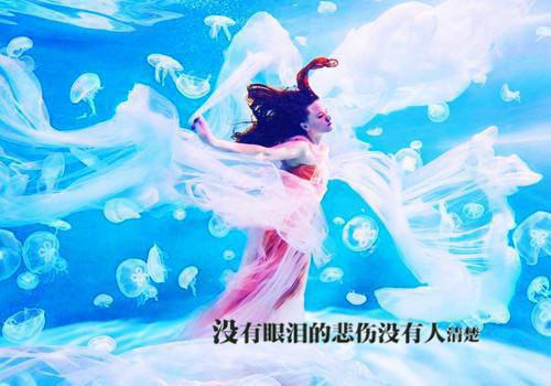 （许安宁裴景行）裴景行秦苒在线阅读最近更新