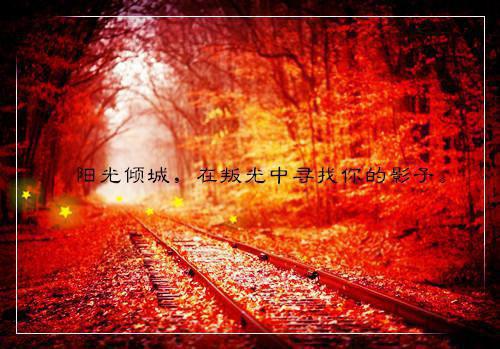 (番外)+(全文)谁愿同你青丝变雪：完结分享最新章节免费阅读_（贺景琛温妤月）谁愿同你青丝变雪：完结分享全文免费在线阅读_笔趣阁（贺景琛温妤月）