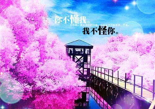 全文浏览长相见长相思：结局+后续+完结（宋疏影傅砚生）_长相见长相思：结局+后续+完结（宋疏影傅砚生）全文结局