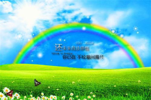 桑榆的小说纵身在淋漓悲欢：桑榆周聿辞全文在线阅读