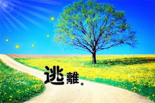 (番外)+(全文)叶惜缘李长明_(叶惜缘李长明)叶惜缘李长明最新章节列表_笔趣阁（叶惜缘李长明）