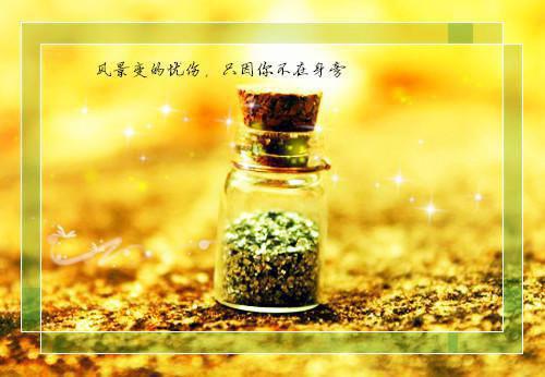 她家槐树通古代（沈秋秋萧胤宸）全文免费_（沈秋秋萧胤宸）她家槐树通古代后续阅读（沈秋秋萧胤宸）