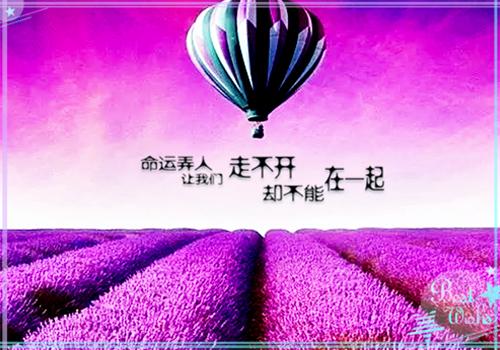 宋月的小说***告白时宋月薇时野席辰全文在线阅读