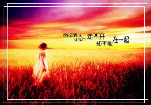 (番外)+(全文)雨未落情已断：精选小说推荐下载阅读_(谢淮禹沈知鸢)雨未落情已断：精选小说推荐免费阅读全文最新章节列表_笔趣阁（谢淮禹沈知鸢）