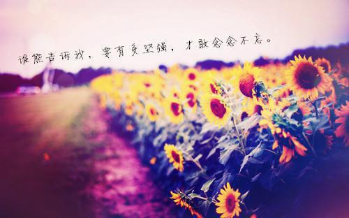 谢芜全文清爽版在线+无广告结局（苏云）