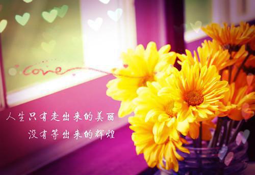 全本在深渊里摘月亮（沈渡安林南沐）最新章节列表_全本在深渊里摘月亮全文阅读