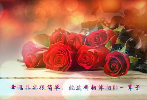 文章简述她该做的程识易吞了下喉结谢貘小说章节阅读