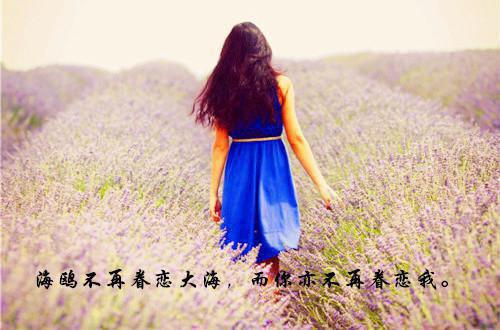 只道来姗姗：节选高光片段速递‌（林听杳薄砚之）最新推荐_最新推荐只道来姗姗：节选高光片段速递‌（林听杳薄砚之）