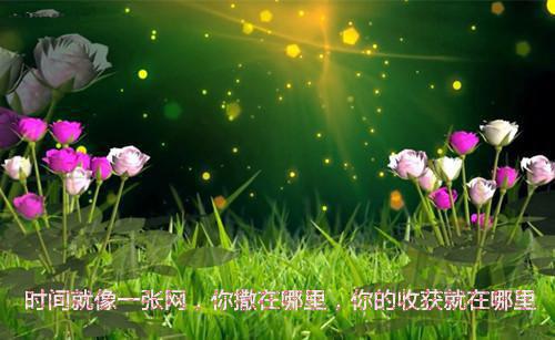 完结文悔我情深，再不如初最新章节列表_完结文悔我情深，再不如初全文免费阅读（顾云蕊李晨轩）