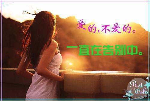 (番外)+(全文)他风光入京，我C位出殡(傅青芜裴桓)小说最新列表_他风光入京，我C位出殡(傅青芜裴桓)全文阅读无弹窗