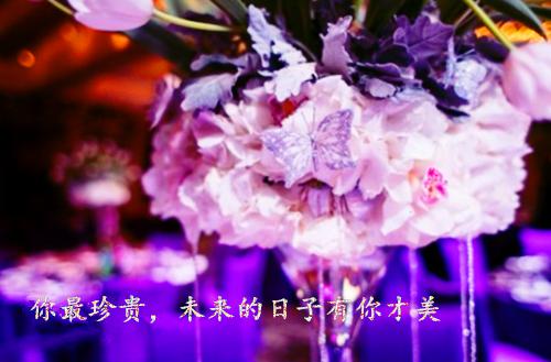 车祸后，医生妻子选择救白月光（江书砚沈棠萧淮）全章免费版阅读