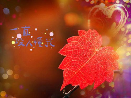 (番外)+(全文)老公找替身，我转身离婚：全章节(裴砚之林晚澄)小说最新列表_老公找替身，我转身离婚：全章节(裴砚之林晚澄)全文阅读无弹窗