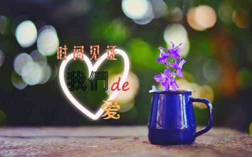 最新章节白月光回来后，把我当赌注的总裁和学（海市,沈墨,清梨）_白月光回来后，把我当赌注的总裁和学海市,沈墨,清梨最新章节