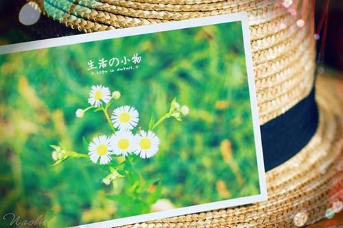 姜岁宁顾寒川全文+番外+大结局（离婚后嫁死对头,冷傲总裁红了眼：结局+番外）免费在线阅读_姜岁宁顾寒川（离婚后嫁死对头,冷傲总裁红了眼：结局+番外）全文免费阅读无弹窗大结局