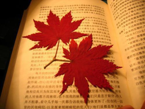 最新章节宗门太多沙雕，师尊我带头风骚（秦禾韩万里）_宗门太多沙雕，师尊我带头风骚秦禾韩万里最新章节