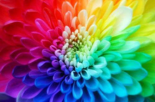(番外)+(全文)潮痕蚀月光：+全文+番外全文免费阅读无弹窗大结局_潮痕蚀月光：+全文+番外最新章节列表_笔趣阁