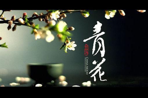 高分小说（冷若,玄明,修为）九世轮回收养9个秦红衣全书无套路阅读