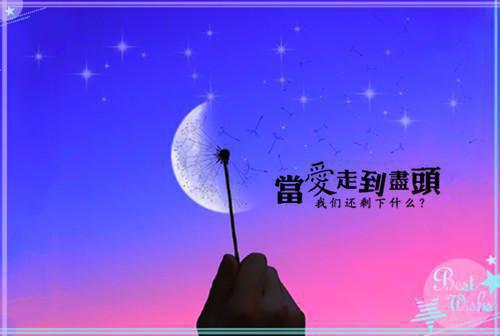折寒枝簪起霜思最新小说（沈棠眠宋闻璟）全文阅读