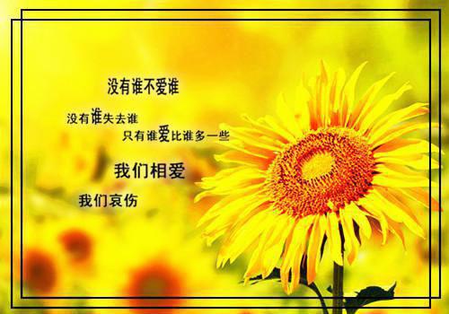 全文浏览重回七零，打脸兼祧两房的老公：（江雪谢君尧）_重回七零，打脸兼祧两房的老公：（江雪谢君尧）全文结局