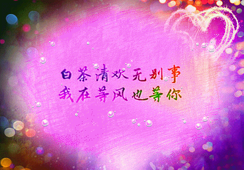 (番外)+(全文)凉薄怎配情深：精彩章节最新章节免费阅读_（阮青杳陆景琛乔若微）凉薄怎配情深：精彩章节全文免费在线阅读_笔趣阁（阮青杳陆景琛乔若微）