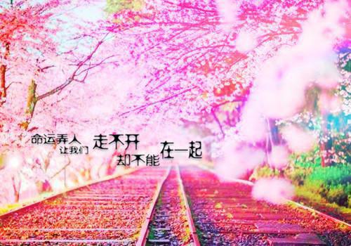全文浏览共度一夜后，冷冰冰的女总裁对我恋恋不舍（陈阳柳然）_共度一夜后，冷冰冰的女总裁对我恋恋不舍（陈阳柳然）全文结局
