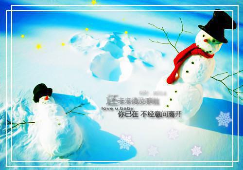爱在霜雪消融前宝藏美文最新小说（阮荷夜无烬）全文阅读