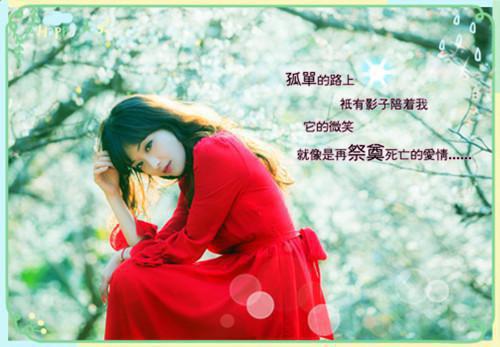 全文浏览不念不爱不思君：+后续+番外（柯褚绮魏修宁）_不念不爱不思君：+后续+番外（柯褚绮魏修宁）全文结局